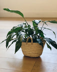 Petite Moroccan Basket