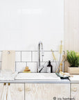 Whisk Brush