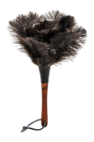 Small Feather Duster