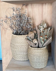 All Natural Elephant Grass Barrel Baskets