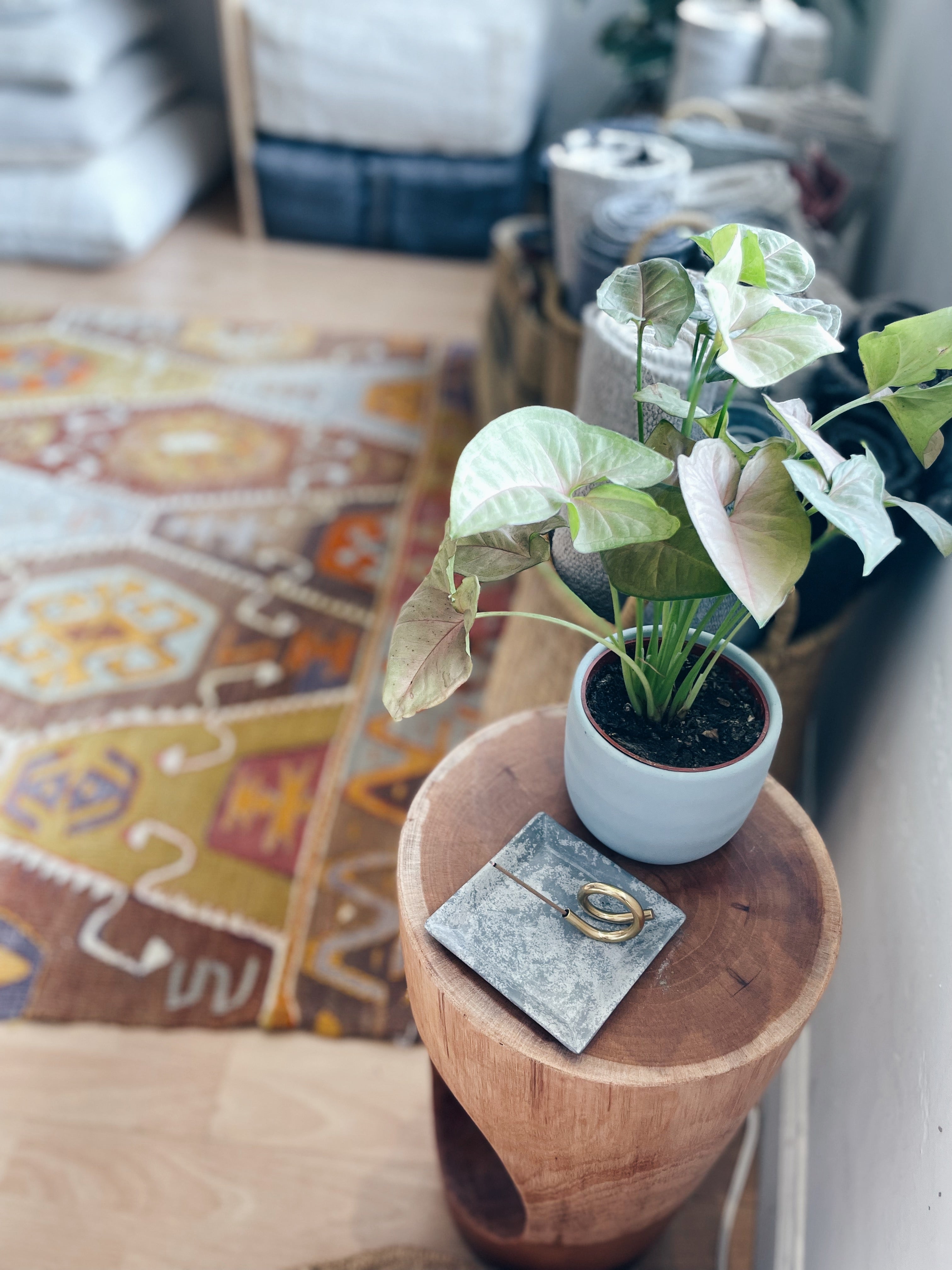 Subtle Bodies Brass Incense Holder