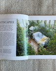 Terence Conran's Plants at Home