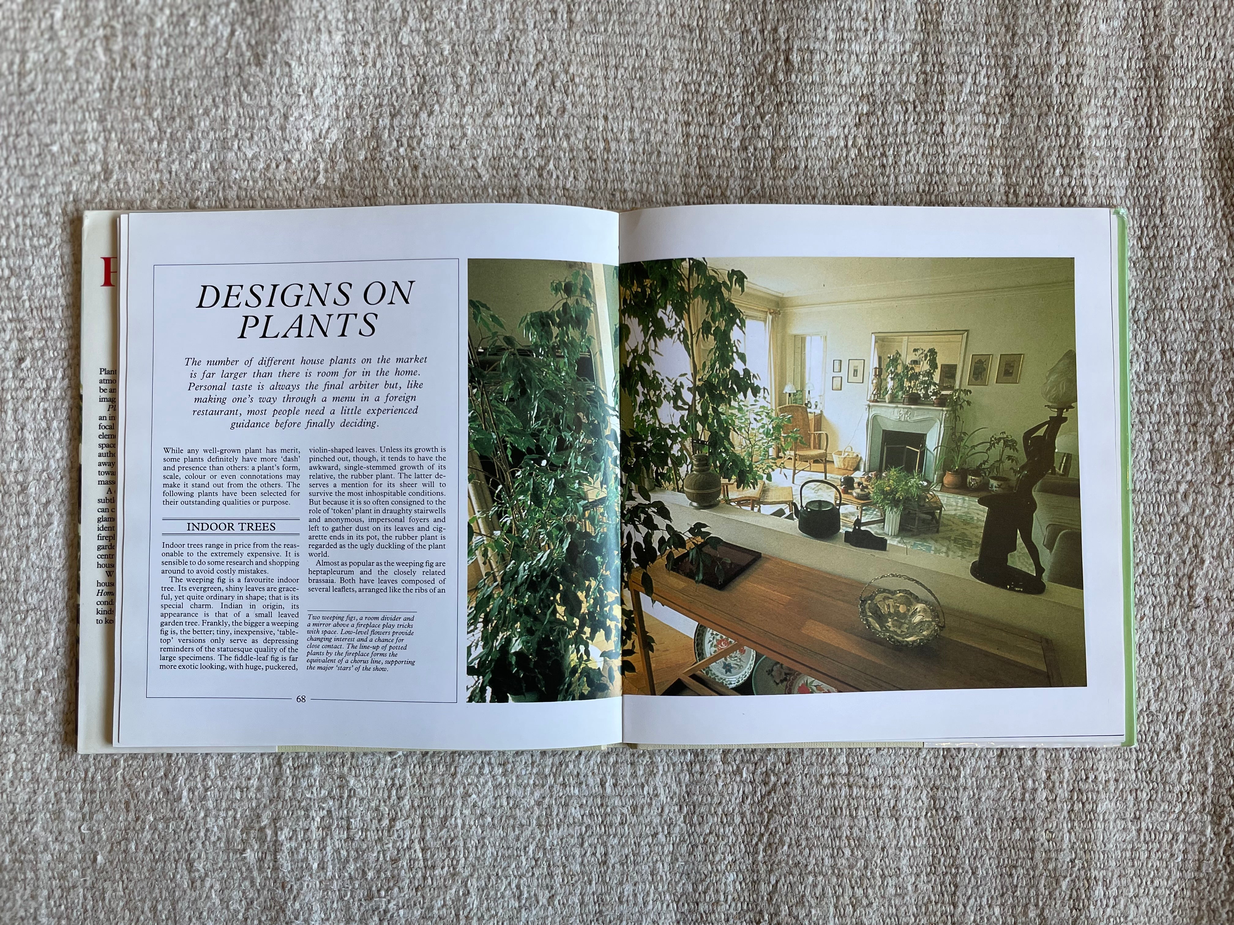 Terence Conran&#39;s Plants at Home